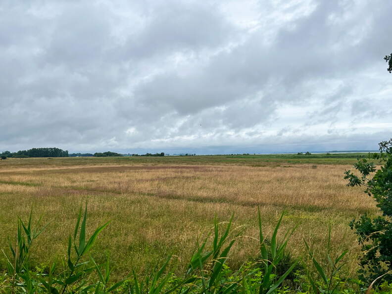 24-06-30 10-18-17 0028